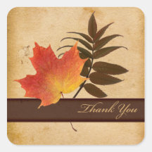 Herbst-Blätter auf gealtertem Papierquadrat dankt  Stickers