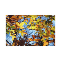 Herbst-Blätter Gespannter Galeriedruck