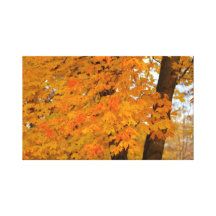 Herbst-Blätter wickelte Leinwand ein Leinwand Druck