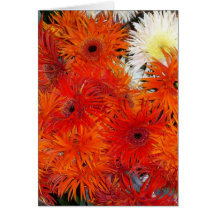 HERBST-BLÜTE KARTE