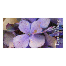 Herbst - Einladung (Hortensia) Photo Karten
