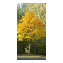 Herbst Fotokartenvorlagen