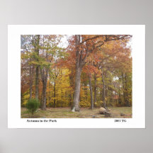 Herbst im Park Plakat
