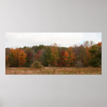 Herbst in Michigan Plakat