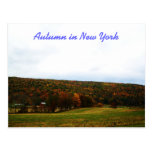 Herbst in New- Yorkpostkarte