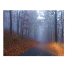 Herbst-Nebel Postkarte