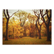 Herbst - New York City Kunstfotos