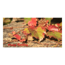 Herbst oder Herbstlaub Photo Grußkarte