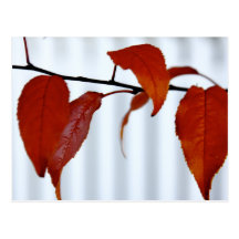 Herbst Postkarten