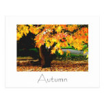 Herbst-Postkarten-Entwurf