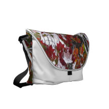 Herbst-Schnee-Rickshaw-Bote-Tasche Kurier Tasche