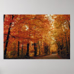 Herbst-Straße Posterdrucke