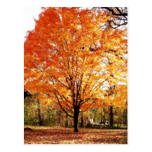 Herbst verlässt Erntedank-Postkarte