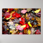 Herbst verlässt Plakat