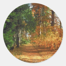 Herbst-Waldweg Runder Aufkleber