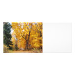 Herbst-Weg Bedruckte Werbekarte