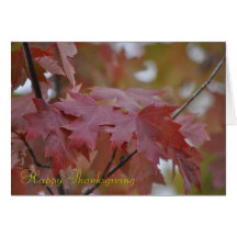 Herbstfarben ~ Erntedank Grußkarten