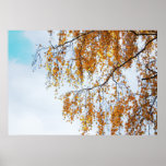 Herbstfarben Plakatdruck