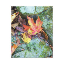 Herbstlaub auf Felsen Galerie Faltleinwand