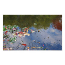 Herbstlaub im Wasser Photodruck