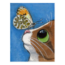 Herr Biggles und die orange Spitze - Katzen-Postka