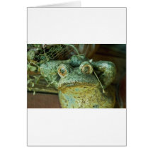 Herr Frog Karten