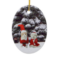 Herr u. Frau Claws ornaments