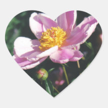 Herz-Briefmarke: Pfingstrosen-Blume Sticker