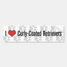(Herz) Curly-Coated Retriever I Autoaufkleber