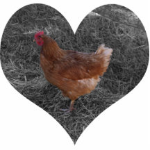 Herz-geformte Huhn-Weihnachtsverzierung Photo Figur