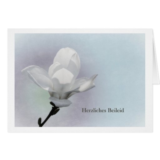 Herzlichstes Beileid Herzlichstes Beileid