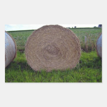 Heuballen rollt auf einem grünen Gebiet Sticker