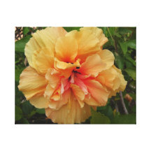 Hibiscus Leinwand Drucke