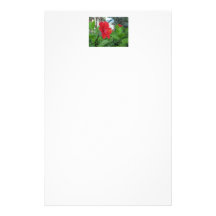 Hibiskus-Anmerkungen Büropapiere