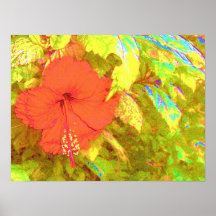 Hibiskus-Blume Posterdrucke