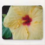 Hibiskus Mousepad horizontale Schablone