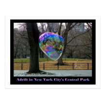 Hilflos in New York City; s Central Park Postkarte