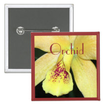 Himbeerzitronen-Orchidee Anstecknadelbutton
