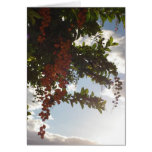 Himmelbeeren Grußkarte