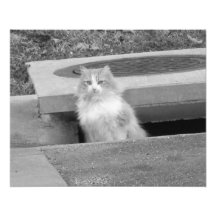 Hintere Abdeckung 3 - B&W Fotodruck