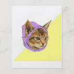 Hipsterkitty-Katzen-Ratetier Meme Flyerdruck