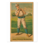 Hirsch 1887 postkarte