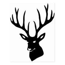 Hirsch Geweih Hirschgeweih Wild Elch Reh Stag Deer Postkarte