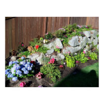 Hoa Scaping poster