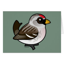 Hoary Redpoll Karte