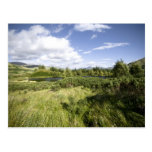 Hochland-Landschaft • Postkarte