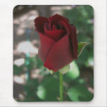 Hochrote Rote Rose Mousepads