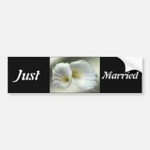 Hochzeit und Feier Autosticker