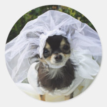 Hochzeits-Chihuahua-Braut Runder Sticker
