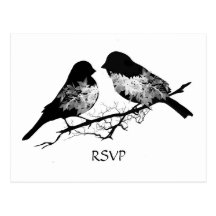 Hochzeits-Vögel Schwarz-weißes UAWG Postkarte